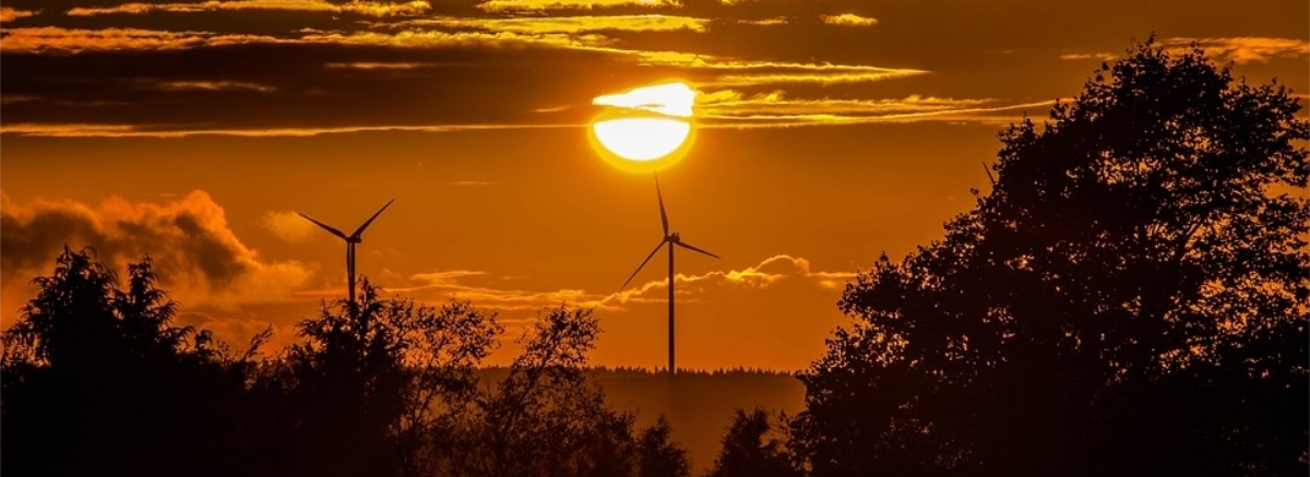 5 Facts about Renewable Energy