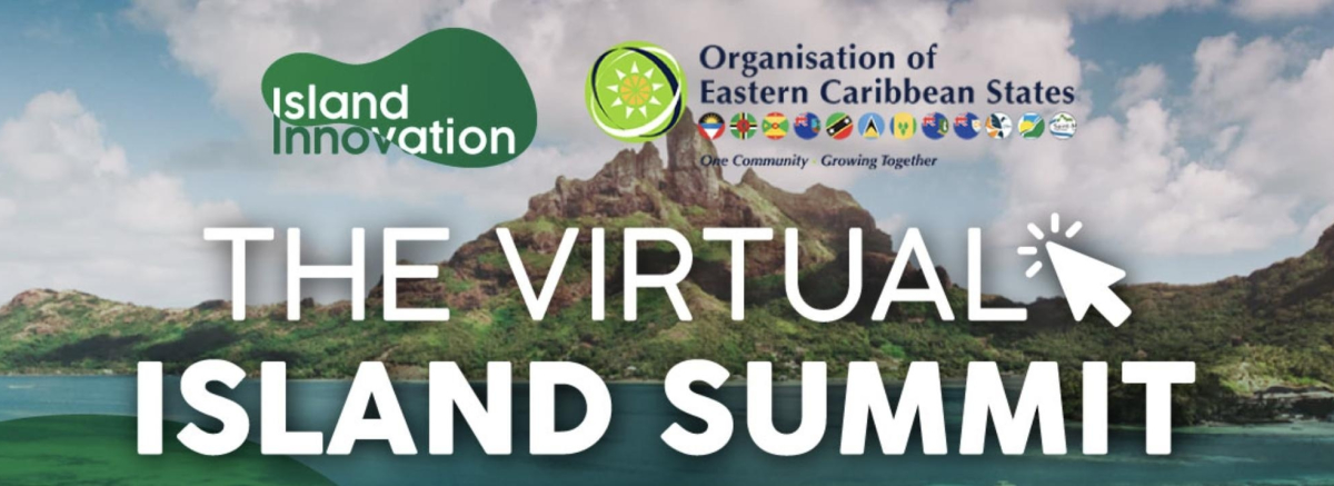 The Impact of the Virtual Island Summit