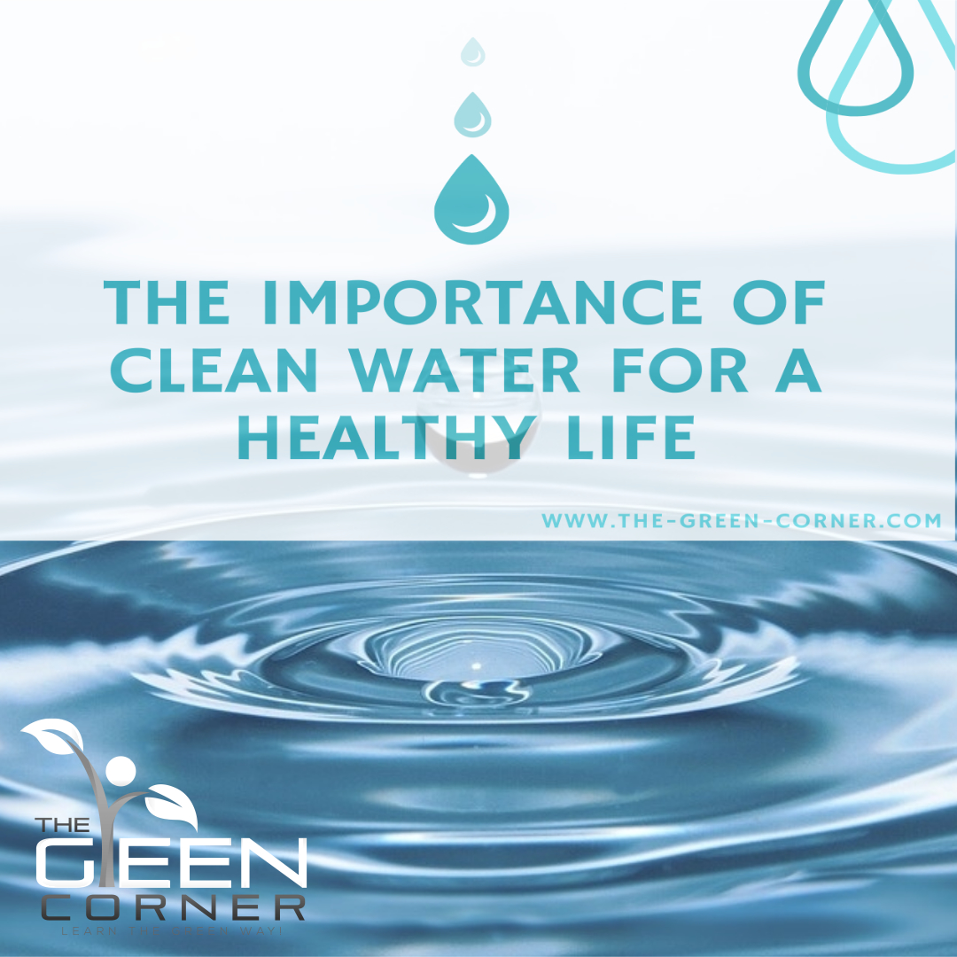 the-importance-of-clean-water-for-a-healthy-life